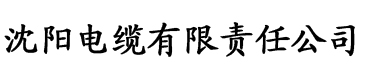 51香蕉视频电缆厂logo